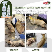Load image into Gallery viewer, Pet Skin Treatment Spray 60ML