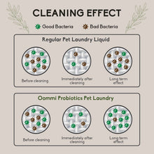 Load image into Gallery viewer, Pet Laundry 1L
