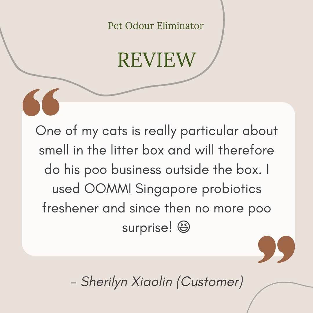 Pet Odour Eliminator 300ML