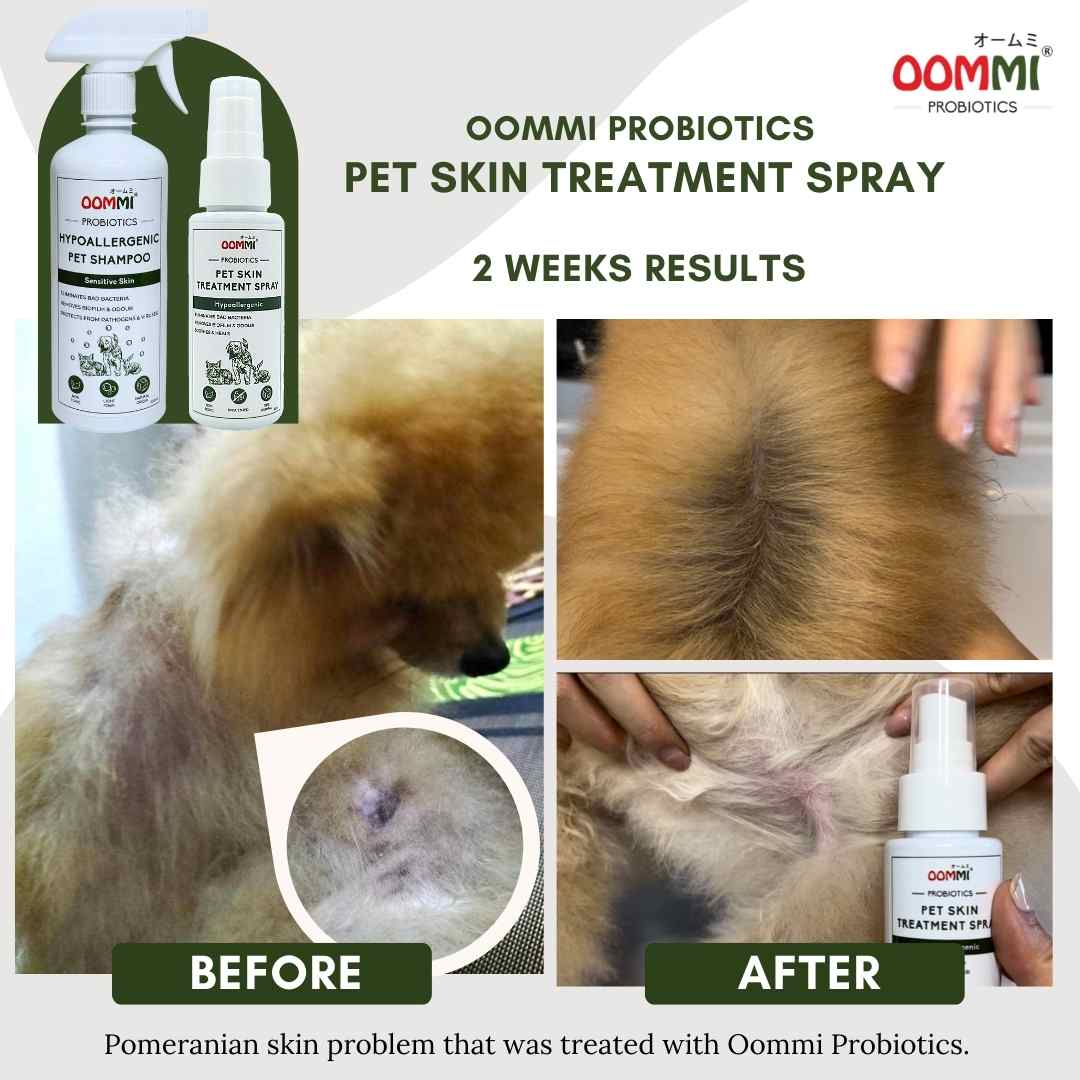 Pet Skin Treatment Spray 60ML
