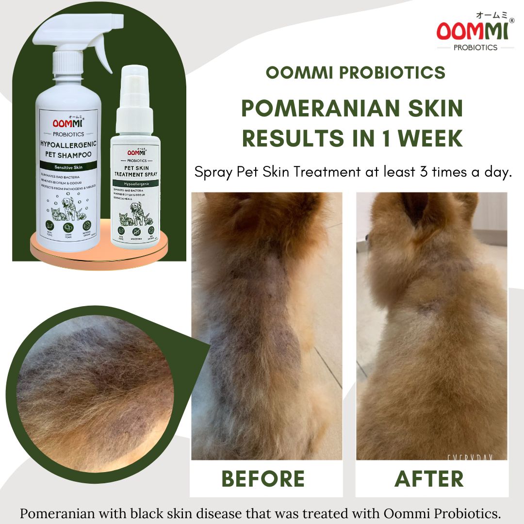 Pet Skin Treatment Spray 60ML