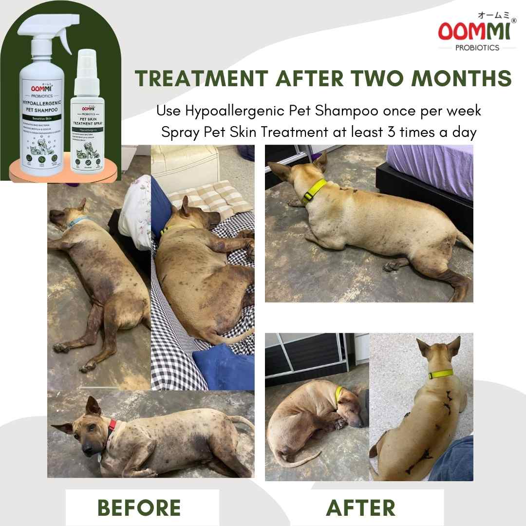 Pet Skin Treatment Spray 60ML