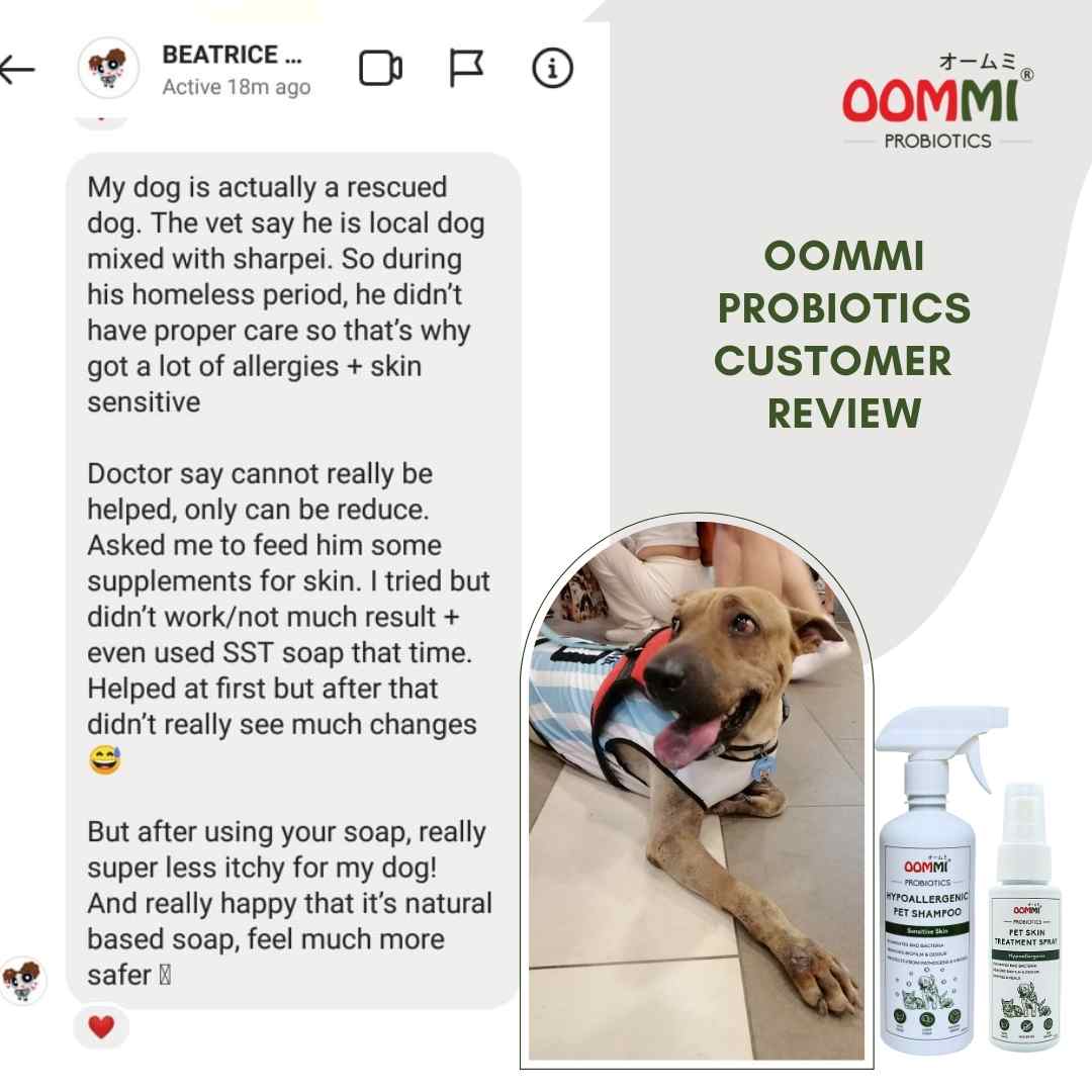 Pet Skin Treatment Spray 60ML