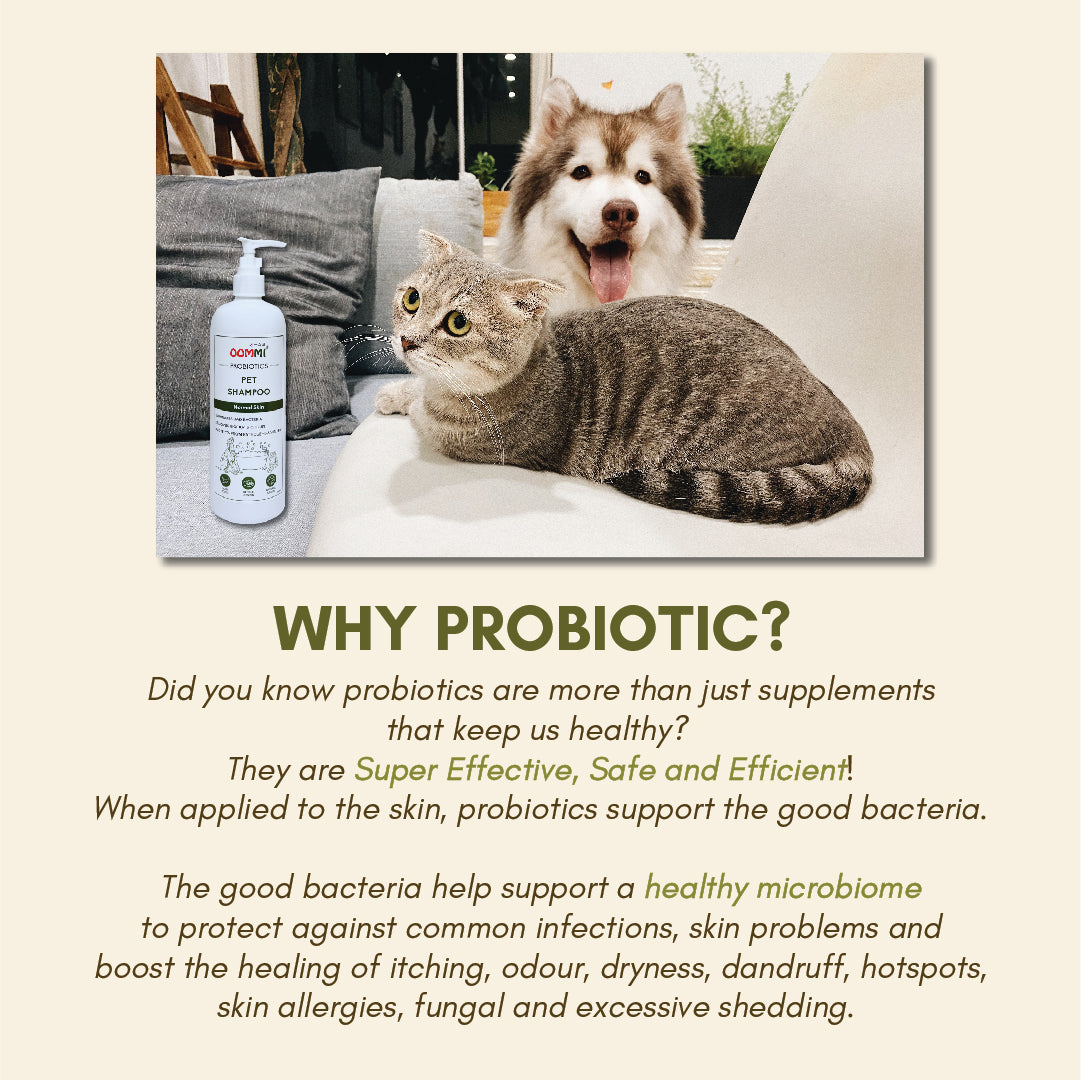 Normal Skin Pet Shampoo 500ML