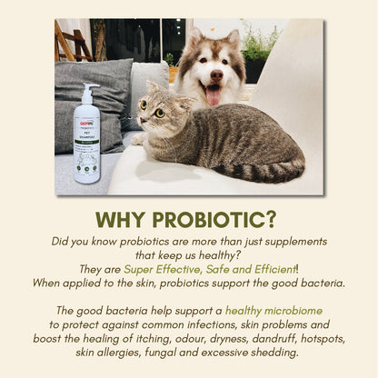 Normal Skin Pet Shampoo 500ML