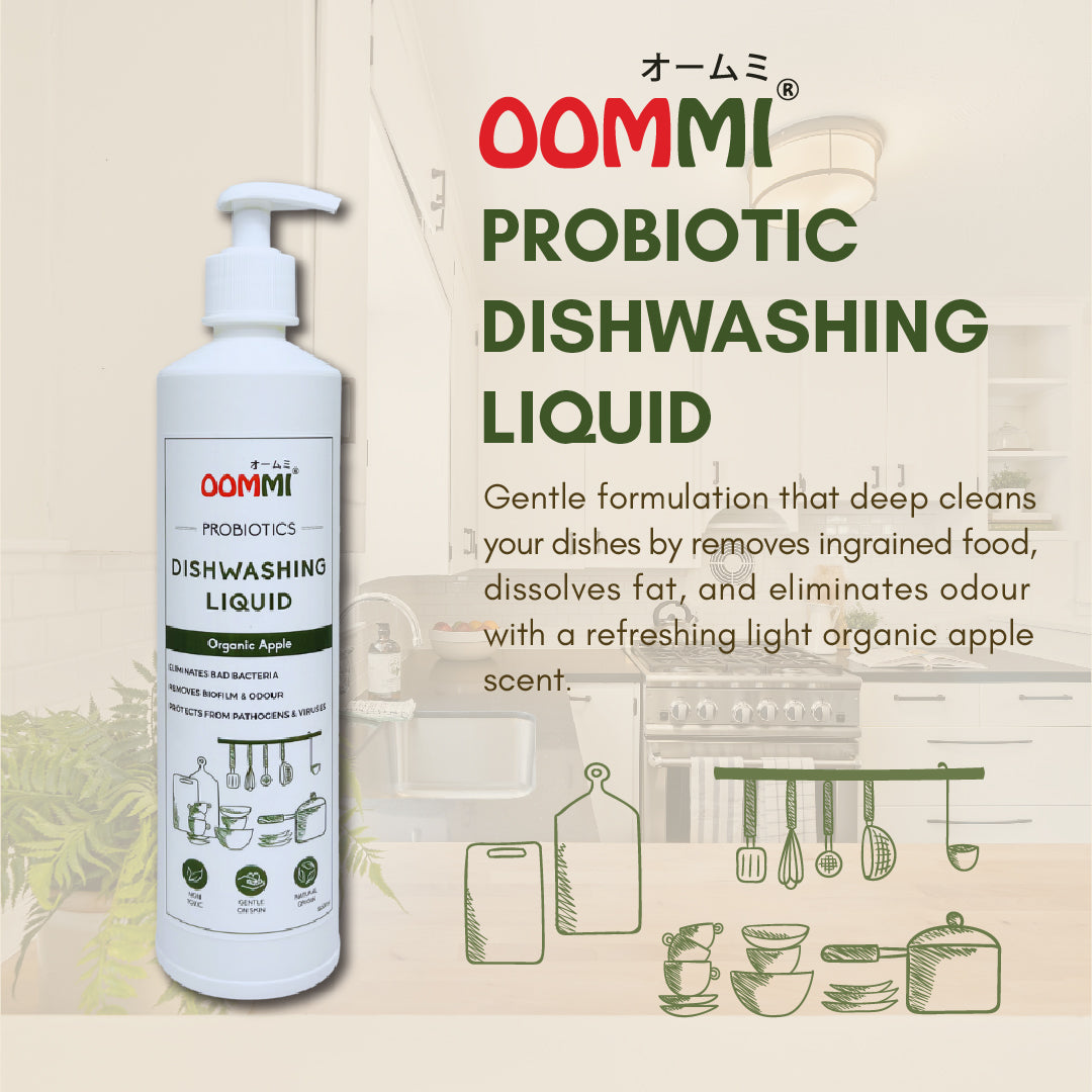 Dishwashing Liquid 500ML