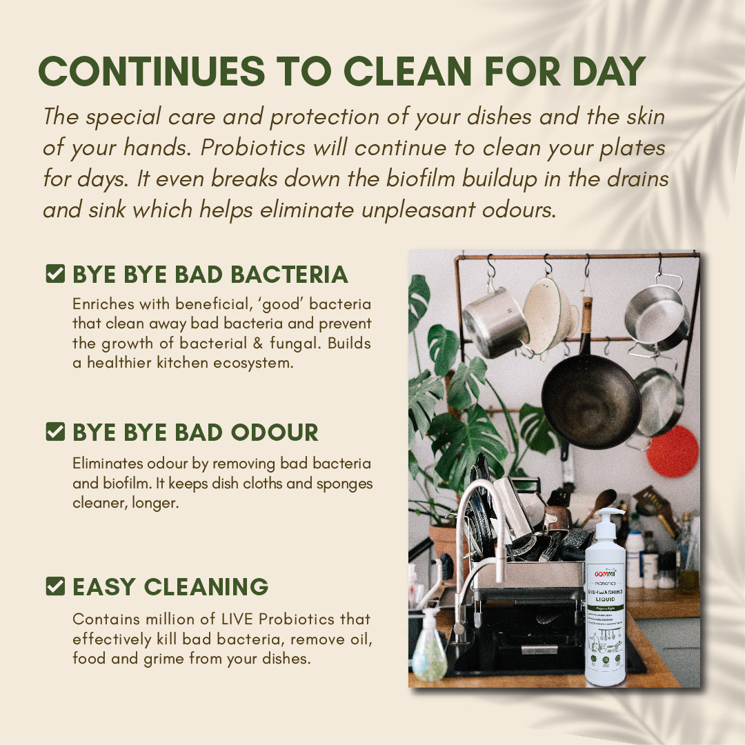 Dishwashing Liquid 500ML
