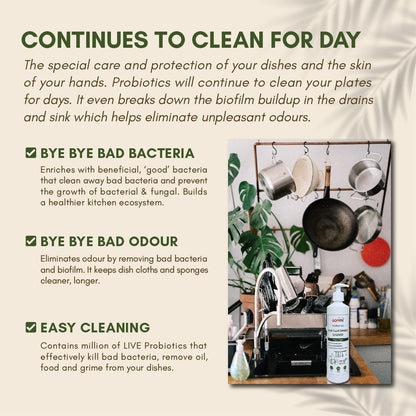Dishwashing Liquid 500ML