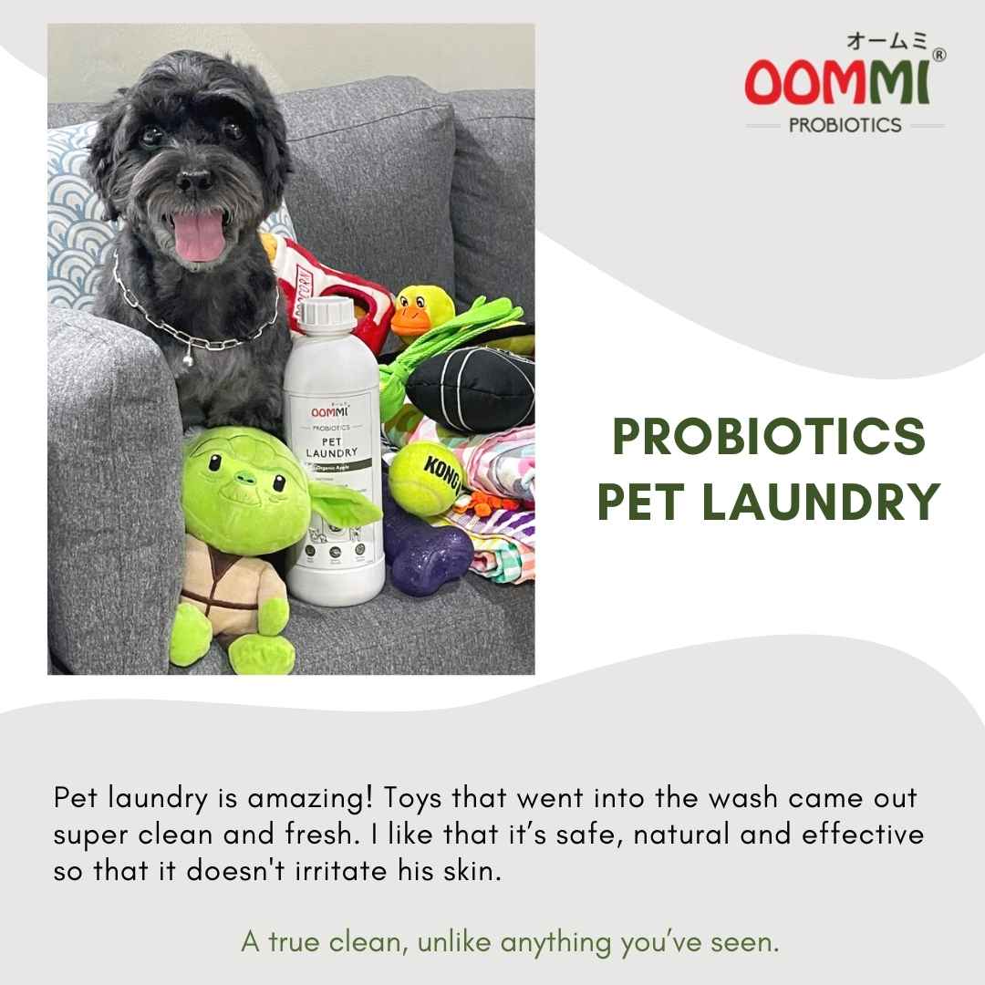 Pet Laundry 1L