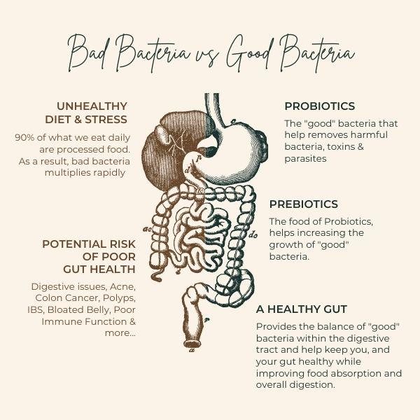 Pre+Probiotics + Multi-Vitamins X 30 Sachets