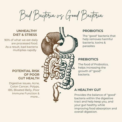 Pre+Probiotics + Multi-Vitamins X 30 Sachets