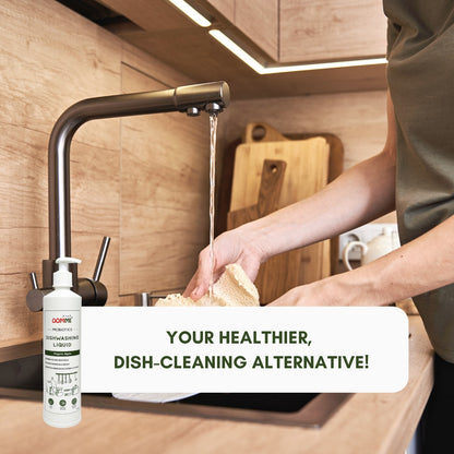 Dishwashing Liquid 500ML
